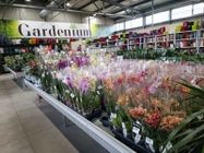 gardenium-vrtni-centar-galerija-9190b0-ccc6cfb2-1.jpg