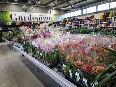 Gardenium vrtni centar