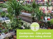 gardenium-eksterijer-galerija-559dfa-6b0c9df3-1.jpg