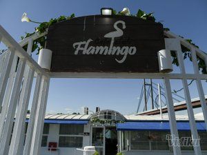 Flamingo Beograd