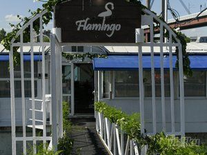 Flamingo Beograd