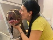 LEJDI pet salon