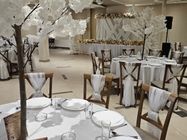 Dilux restoran sala za vencanje