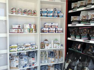 Green Pet Vet veterinar