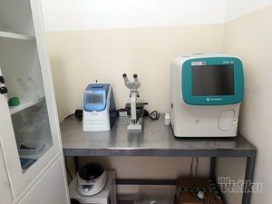 Green Pet Vet veterinar