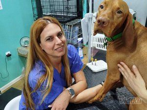 Blok vet veterinarska ambulanta