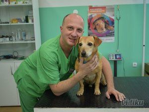 Blok vet veterinarska ambulanta