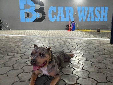 BB Car Wash auto perionica