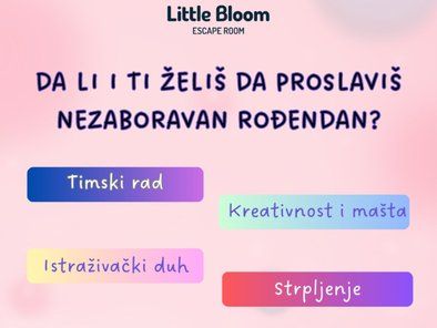 Little Bloom escape room