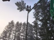Tree Guard – Sečenje i održavanje drveća