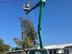 Tree Guard – Sečenje i održavanje drveća
