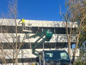 Tree Guard – Sečenje i održavanje drveća