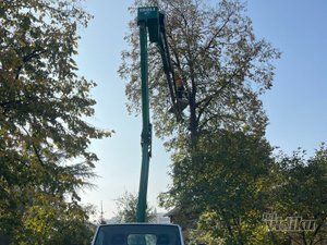 Tree Guard – Sečenje i održavanje drveća