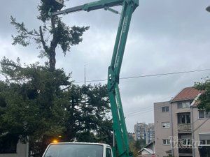 Tree Guard – Sečenje i održavanje drveća