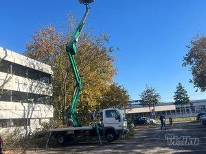 Tree Guard – Sečenje i održavanje drveća