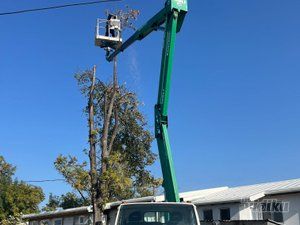 Tree Guard – Sečenje i održavanje drveća