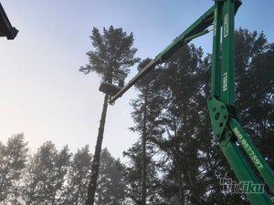 Tree Guard – Sečenje i održavanje drveća