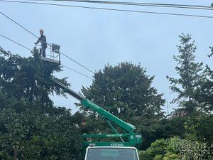 Tree Guard – Sečenje i održavanje drveća