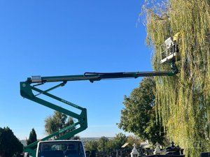Tree Guard – Sečenje i održavanje drveća