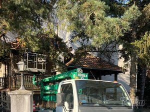 Tree Guard – Sečenje i održavanje drveća