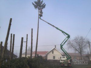 Tree Guard – Sečenje i održavanje drveća