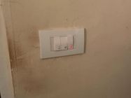 Neutral Electro električar