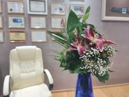 Crystal Medical