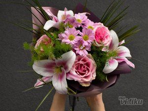 Cvećara Bloomer Store