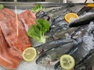 Tropic ribarnica Banjica