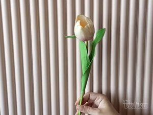 Vestačko cveće online shop
