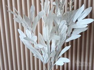 Vestačko cveće online shop