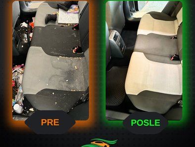 Green Wash mobilna auto perionica