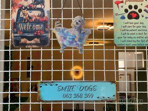 Smile Dogs grooming salon