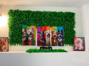 Smile Dogs grooming salon