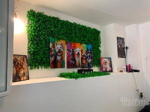 Smile Dogs grooming salon