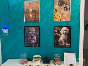 Smile Dogs grooming salon