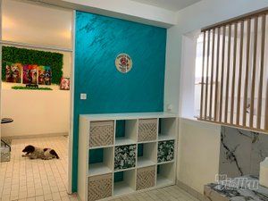 Smile Dogs grooming salon