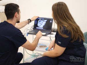 In Dental Plus stomatoloska ordinacija