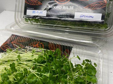 Mikro bilje Nokadar Plants