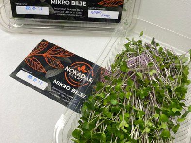 Mikro bilje Nokadar Plants