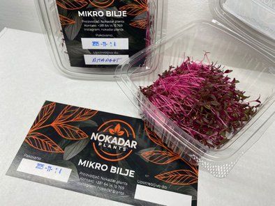Mikro bilje Nokadar Plants