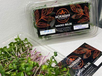 Mikro bilje Nokadar Plants