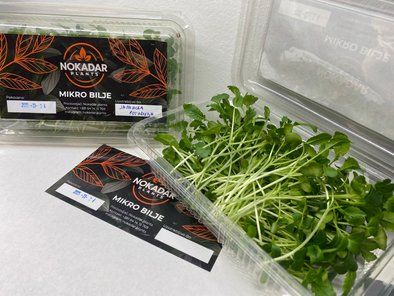 Mikro bilje Nokadar Plants