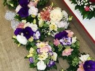 Cvećara Vivaldi Kragujevac