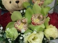 Cvećara Vivaldi Kragujevac