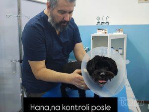 BaneVet veterinarska ambulanta i grooming salon