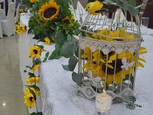Ketty Decor & Flower Studio