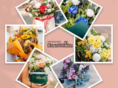 Cvećara Kazablanka Bajloni