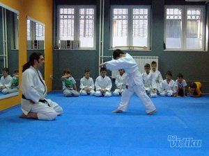 ruski-sistem-beograd-aikido-za-decu-vracar-408f81-67550424-1.jpg