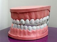 digitalni-ortopan-snimanje-zuba-beograd-4aa71a-eeabcda5-1.jpg